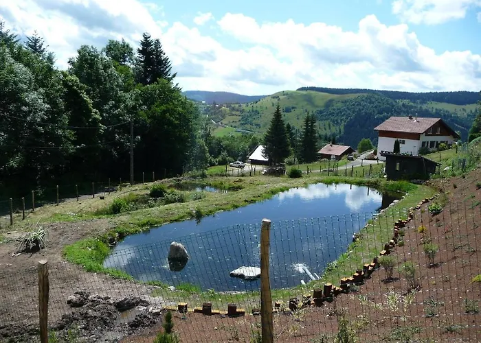 - Restaurant Le Couchetat